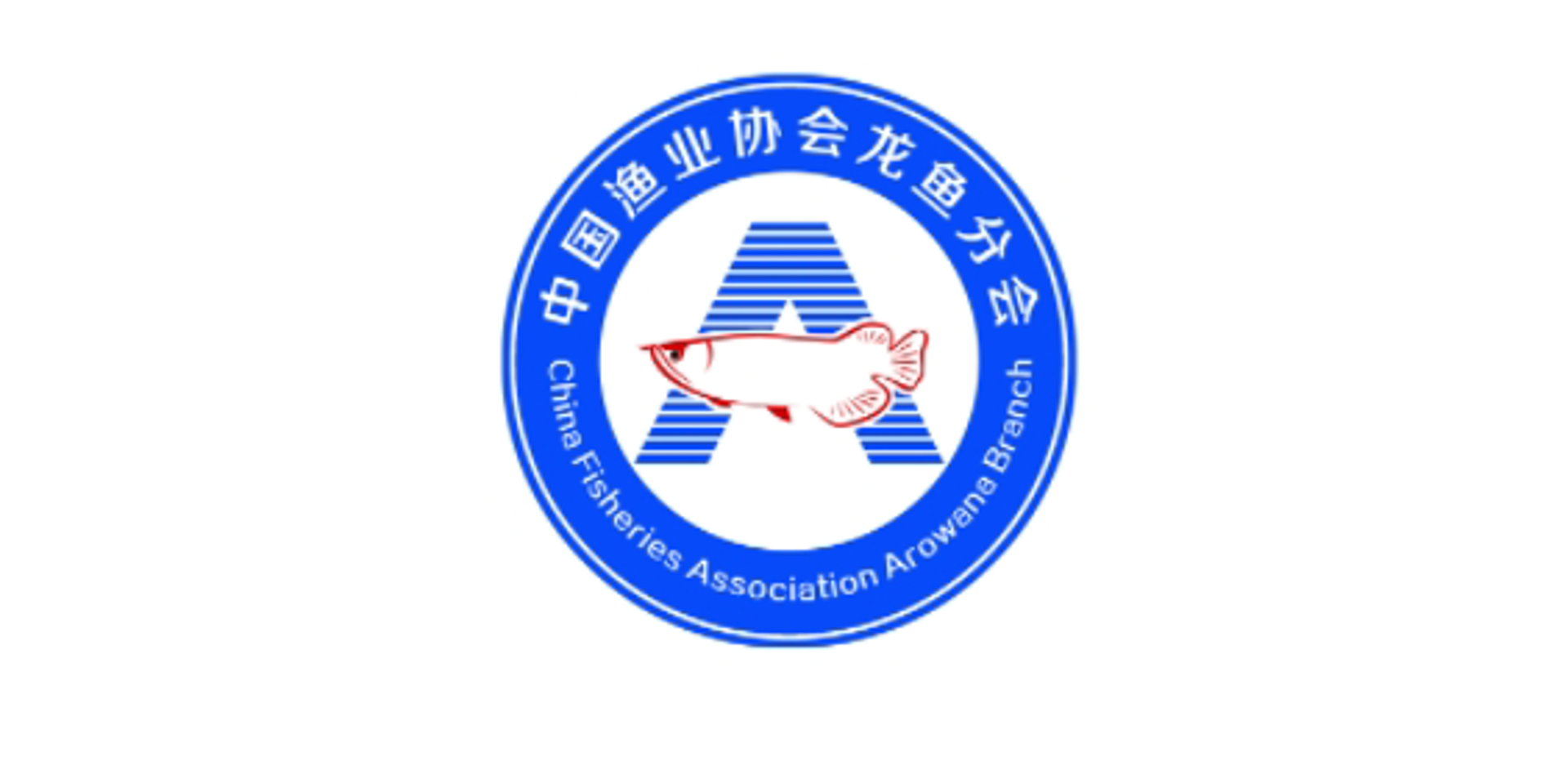 康宠宠物医院